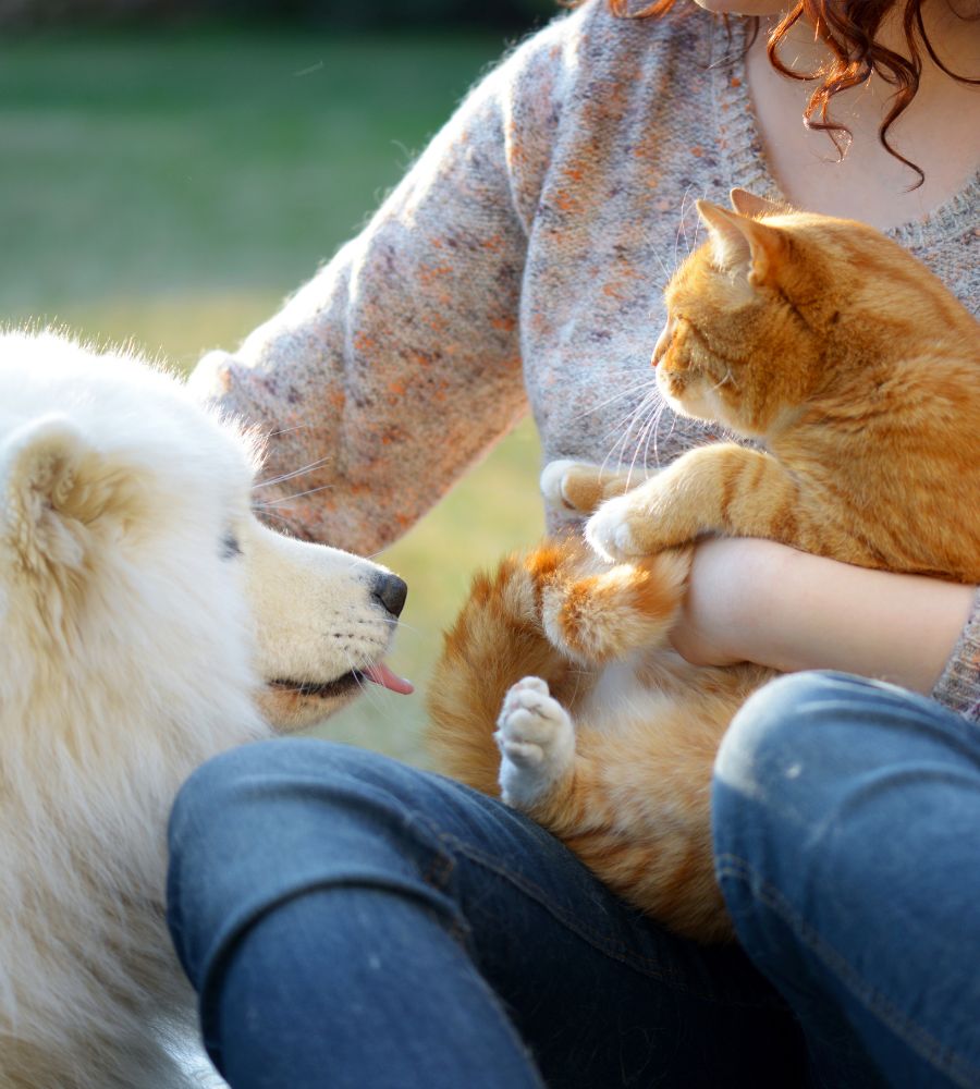 a person holding a cat and a dog